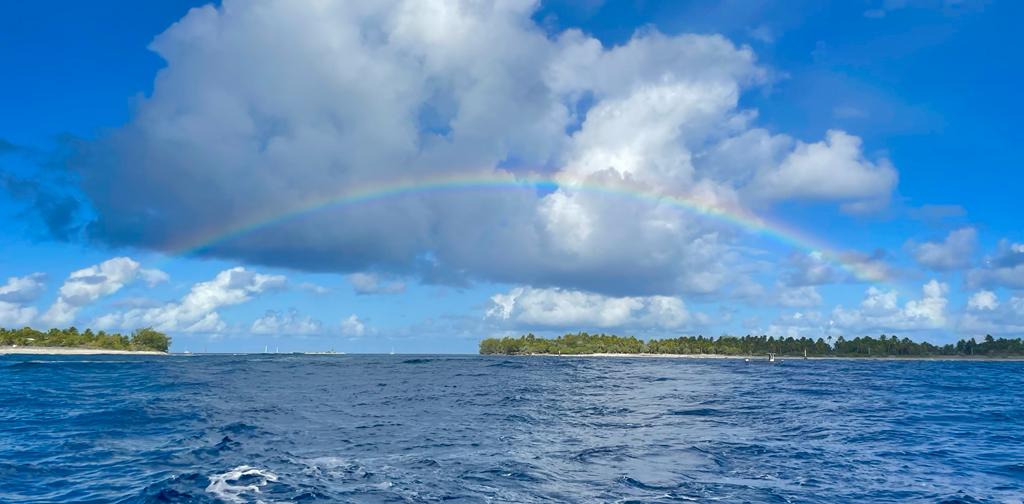 Dott.ssa Riva psicologa